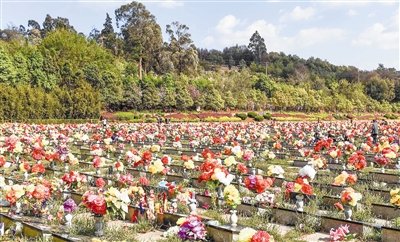 云南昆明金宝山公墓的墓地上满是祭奠亲人的鲜花和绢花.新华社发